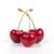 cropped-product22.jpg